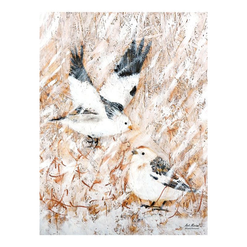 Tulossa uutta huhtikuussa!  "Pulmuset" 30x40cm juliste