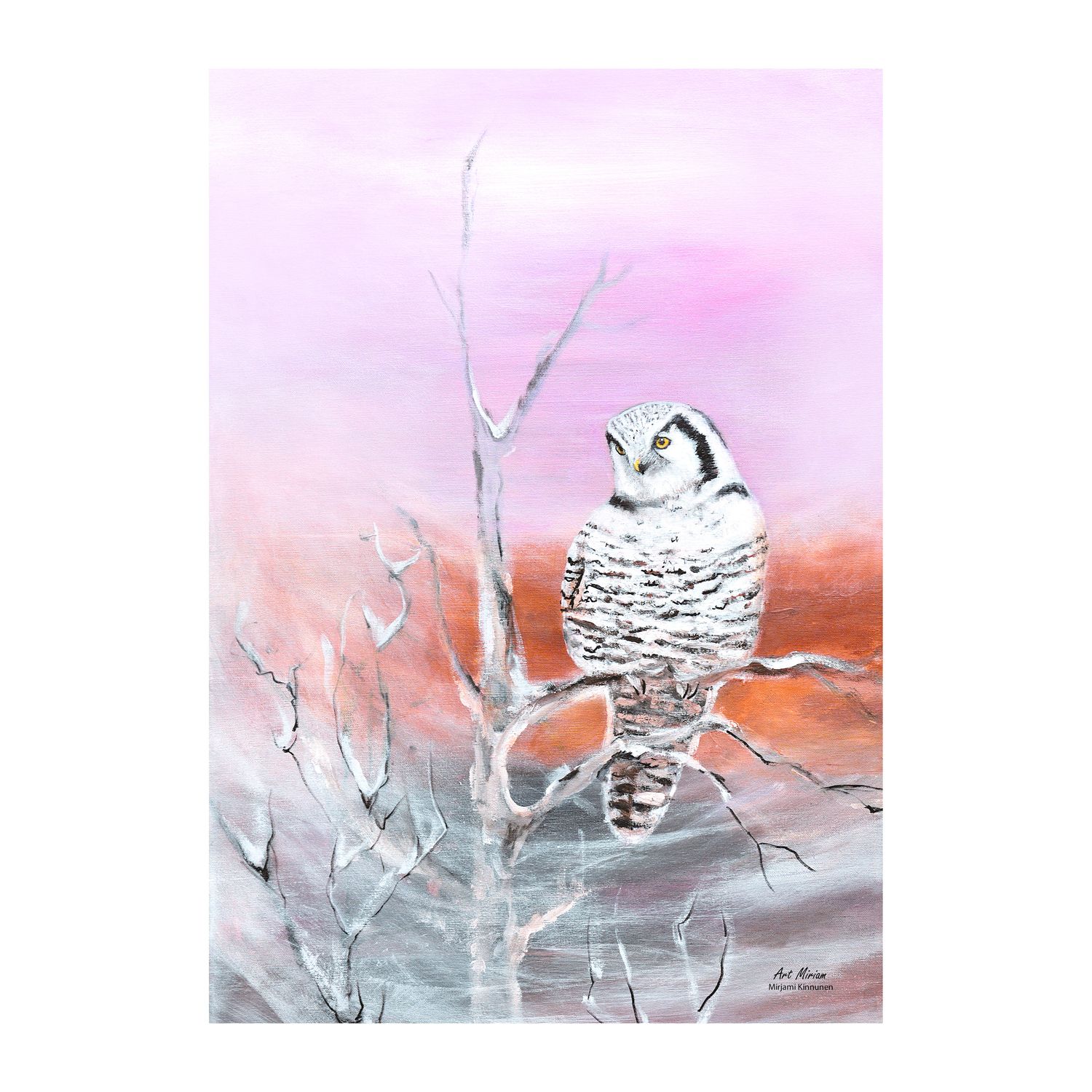 Tulossa uutta huhtikuussa! "Hiiripöllö" Juliste 21x30cm.