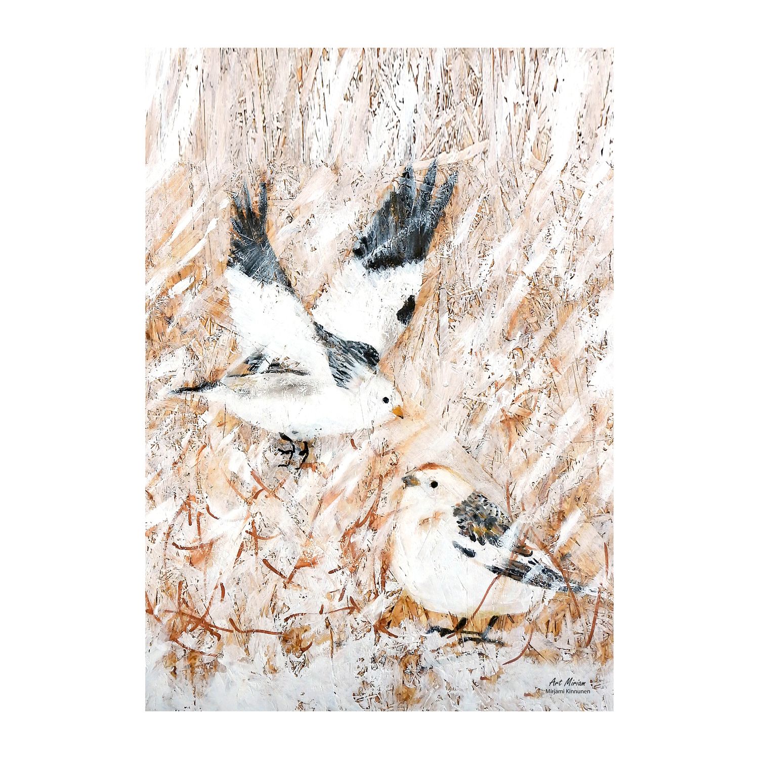 Tulossa uutta huhtikuussa! "Pulmuset" Juliste 21x30cm.