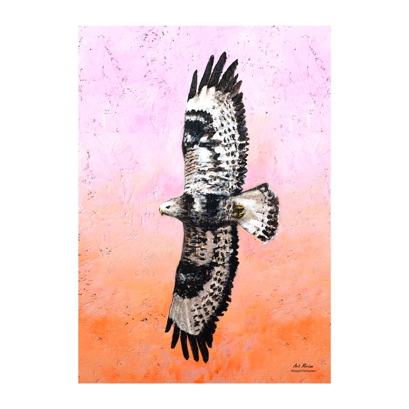 Tulossa uutta huhtikuussa! "Piekanan lento" Juliste 21x30cm.