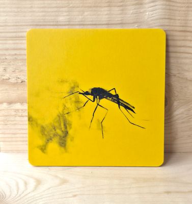 Uutta! Koivuinen lasinalunen "Sääski" 10x10cm. Tuotekuvat tulossa.