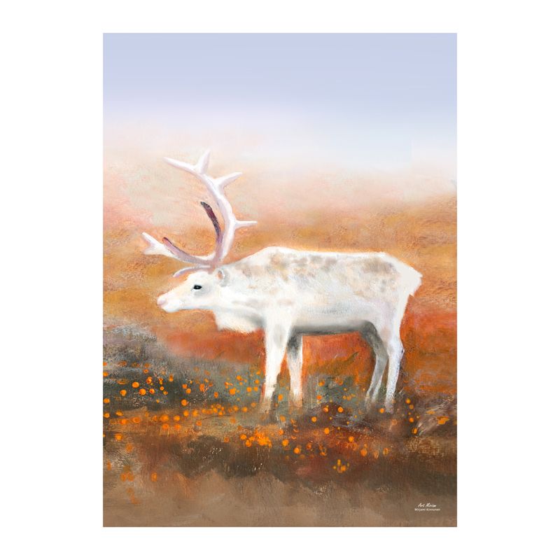 "Hillasuolla" Juliste 50x70cm. Saapuu elokuun alussa.