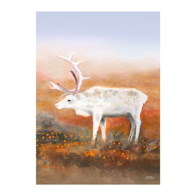 "Hillasuolla" Juliste 50x70cm