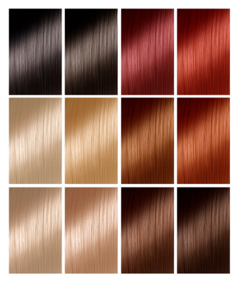 COULEURS DES CHEVEUX