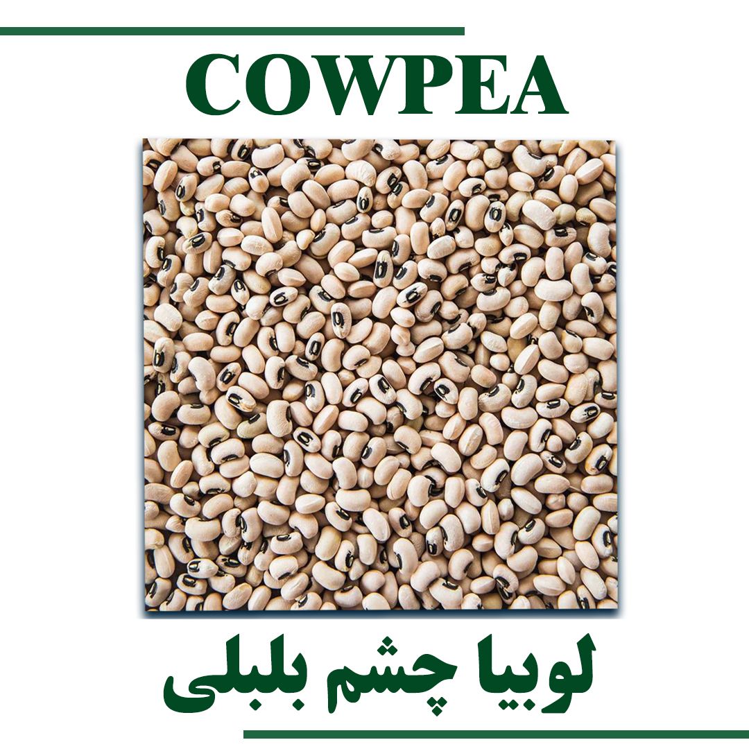 COWPEA