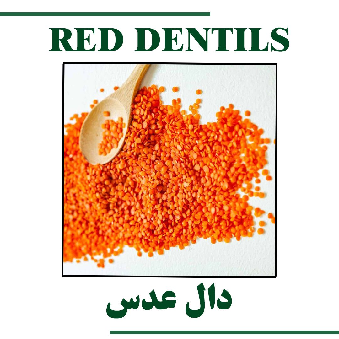 RED LENTILS