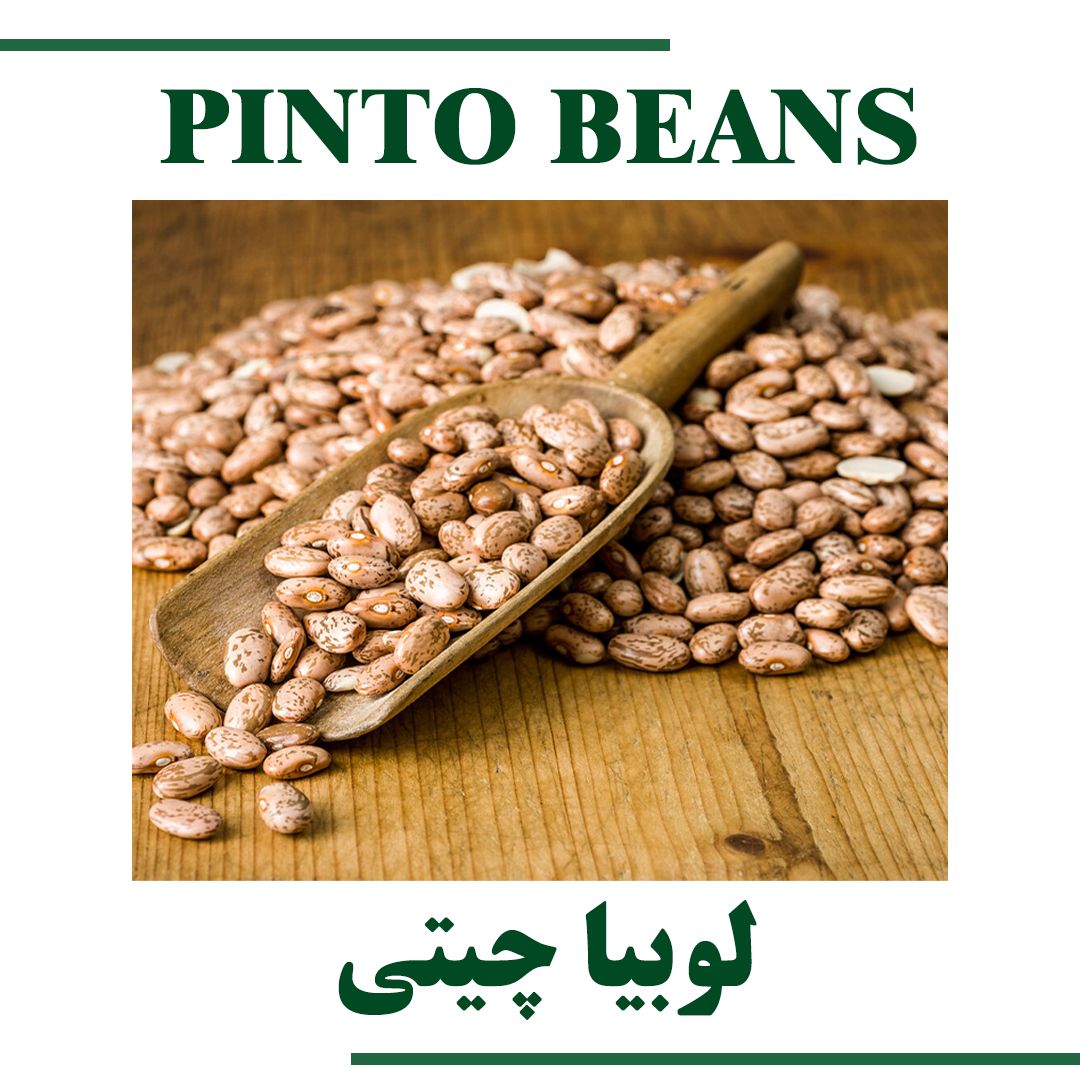 PINTO BEANS