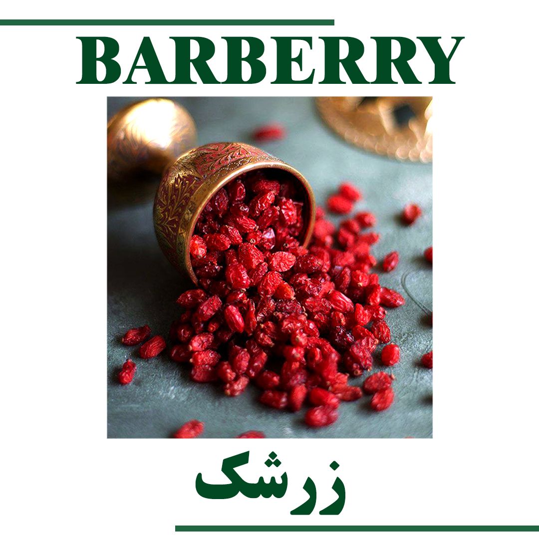 BARBERY