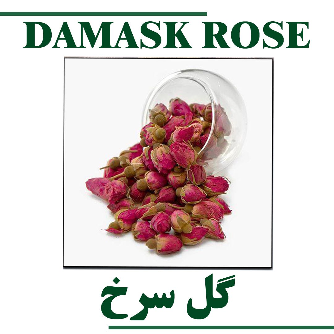 DAMASK ROSE