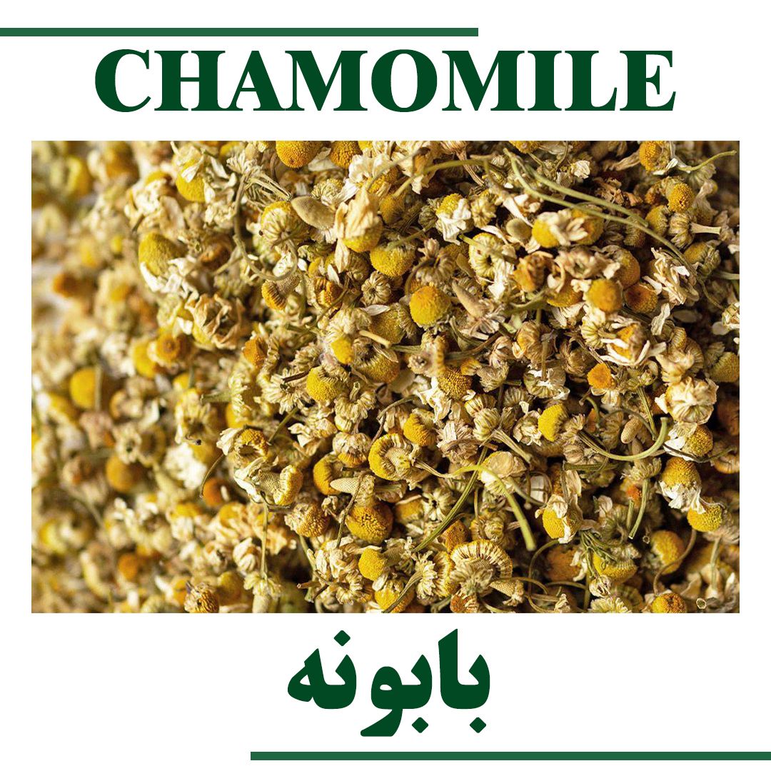 CHAMOMILE