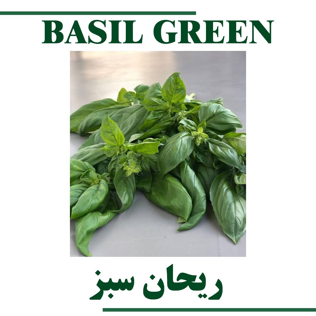 Basil green
