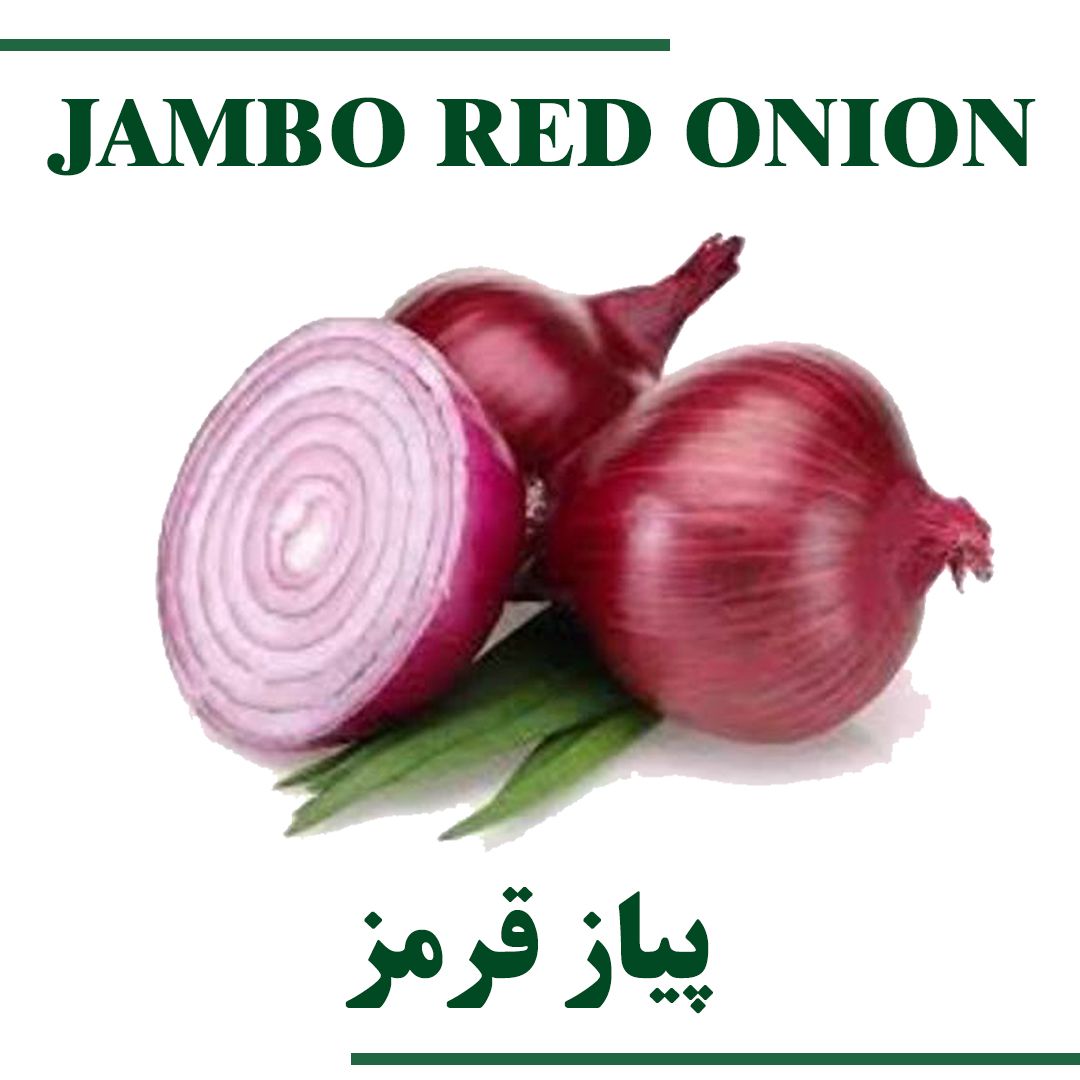 Jumbo Red Onion