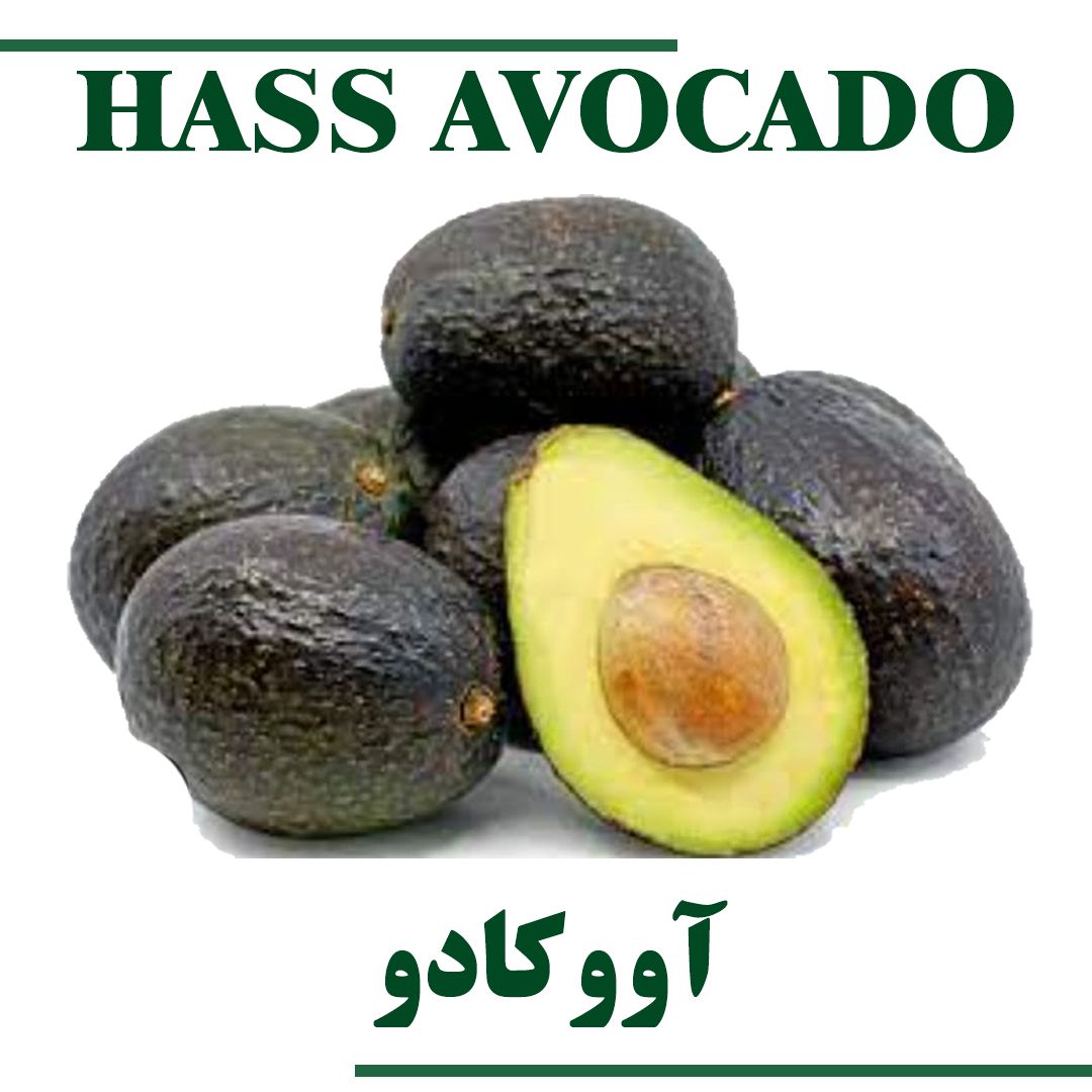 Hass Avocado