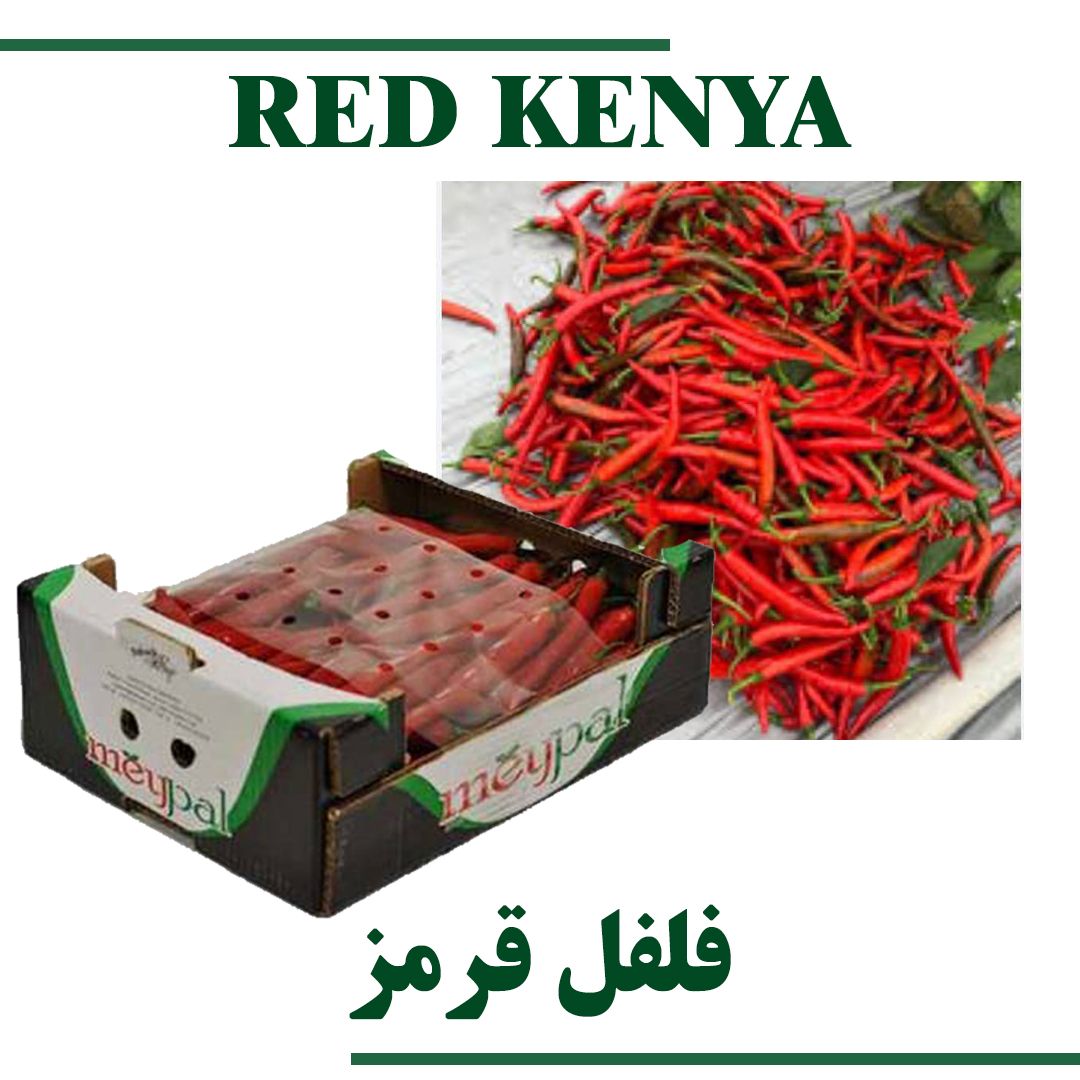 Fresh Red Kenya