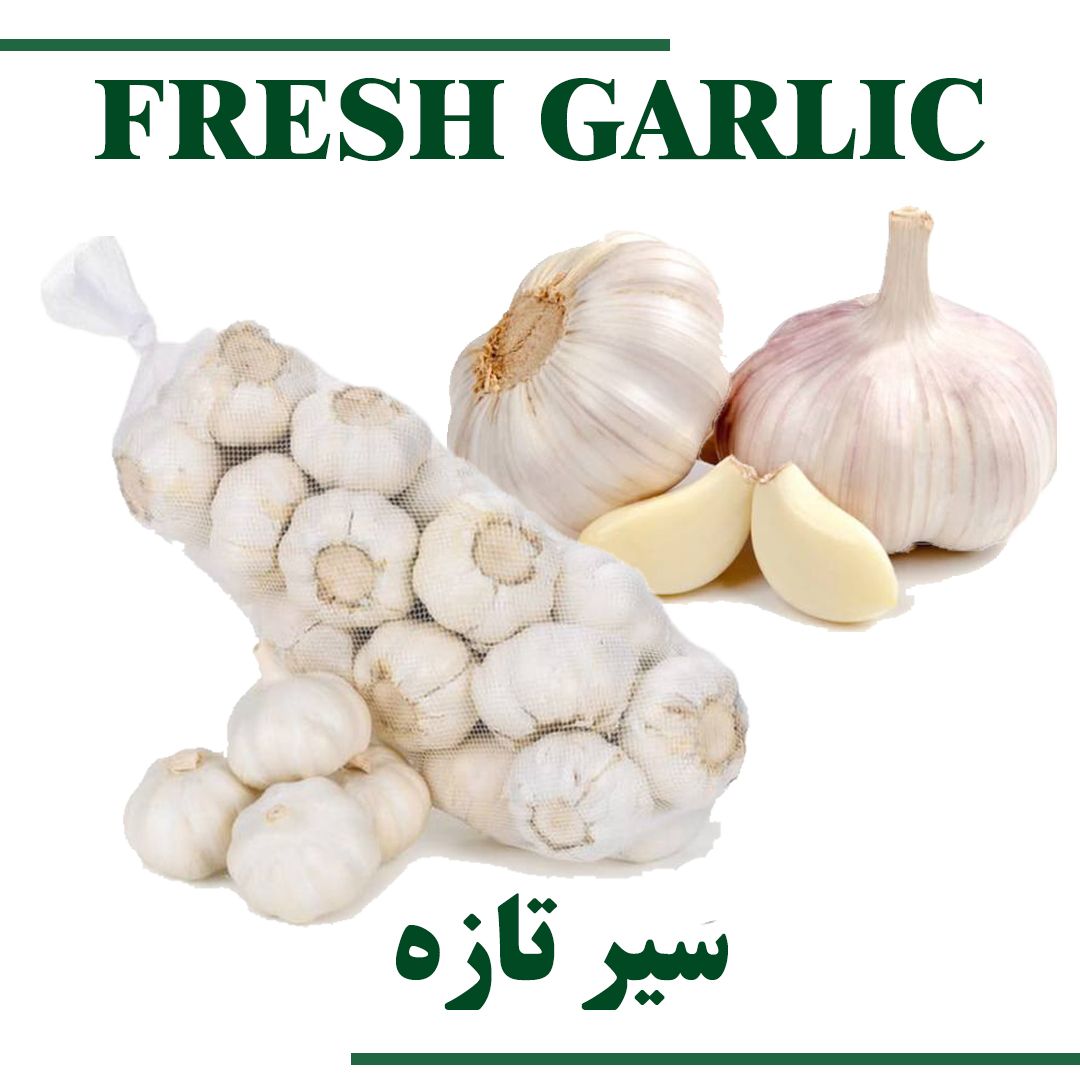 Fresh Garlic