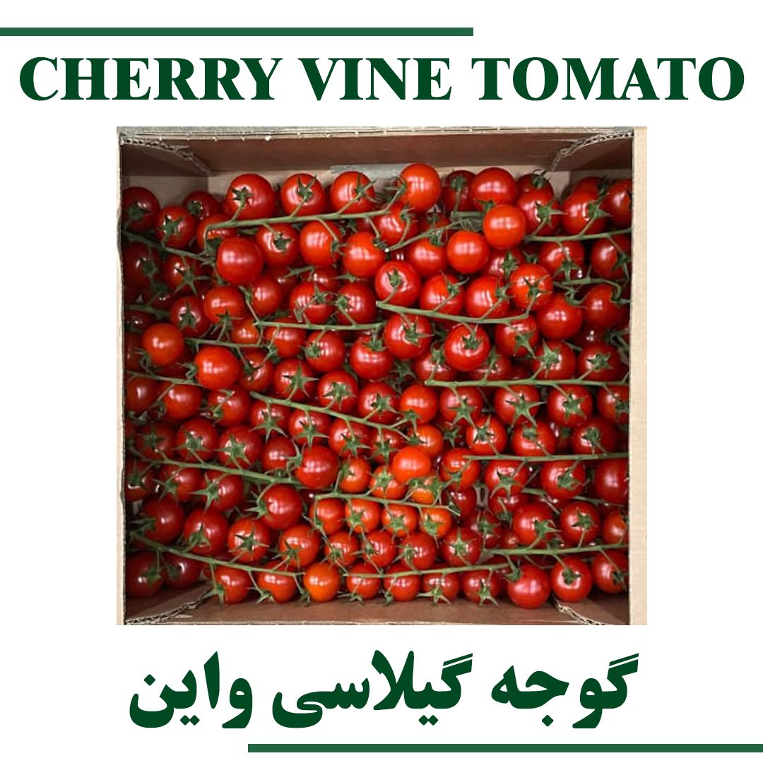 Cherry Vine Tomato