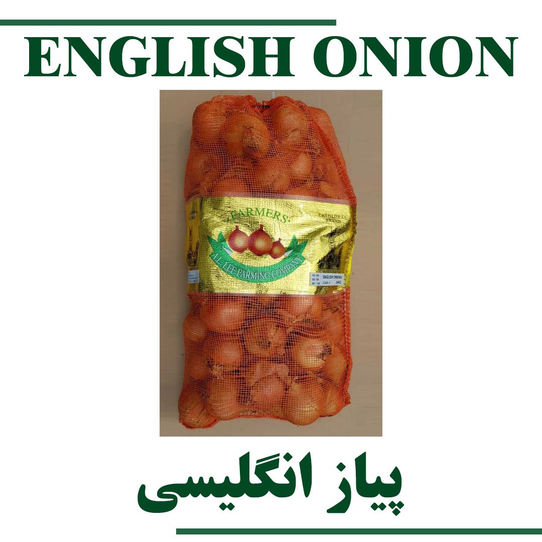 English Onion