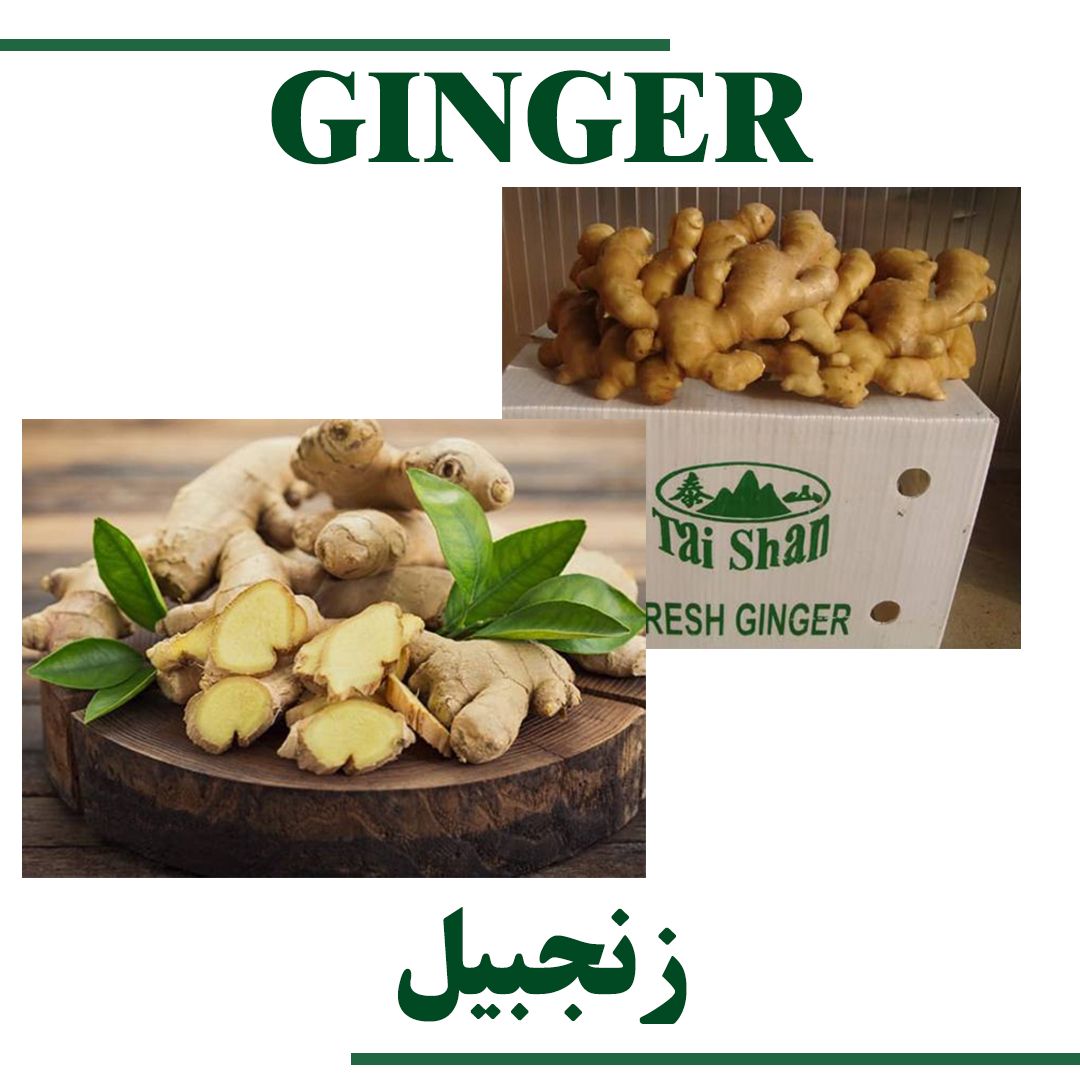 Ginger
