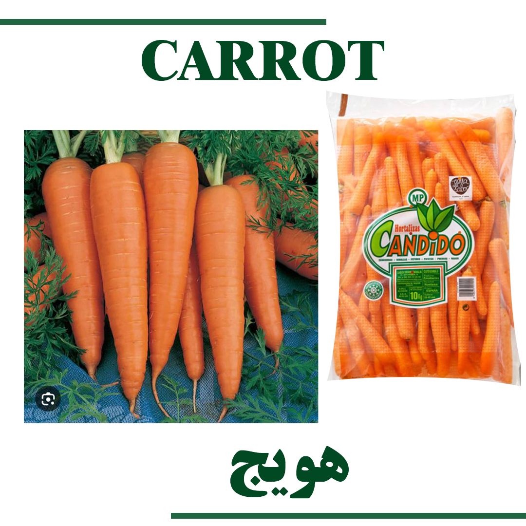 carrot