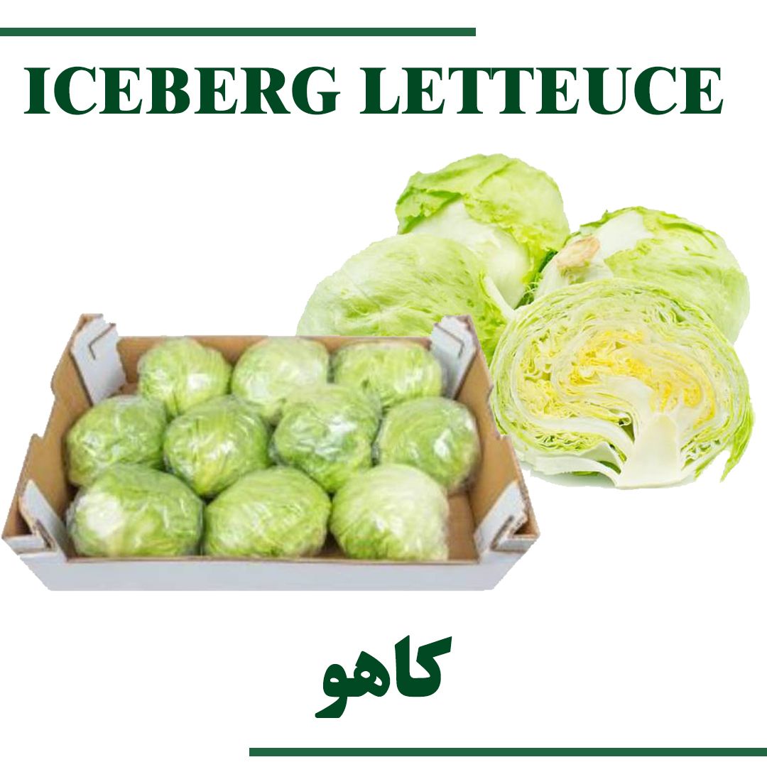 Iceberg Letteuce