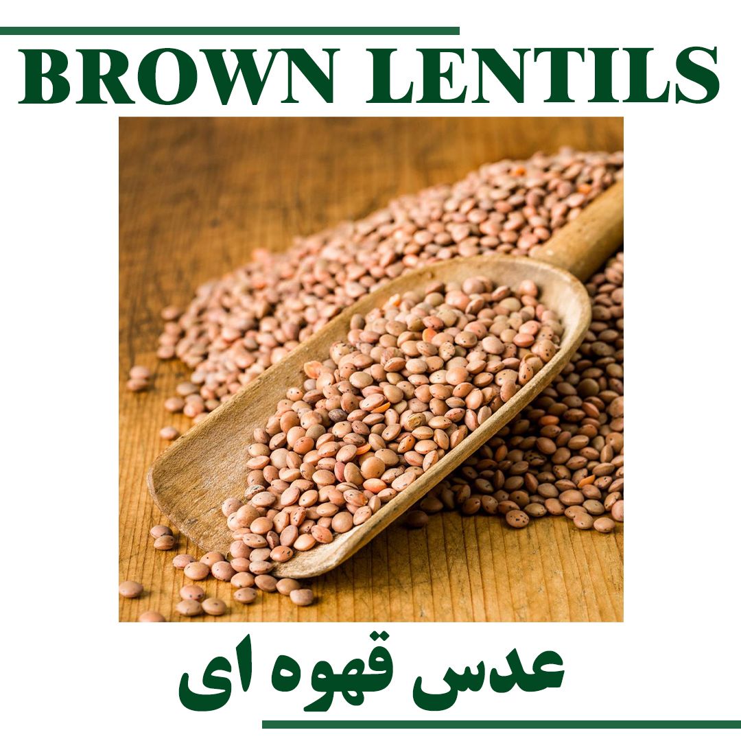 Brown Lentils