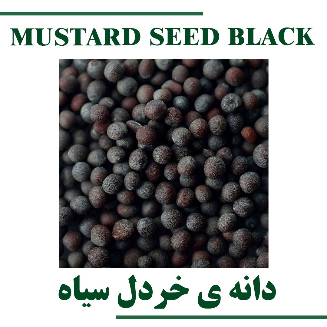MUSTARD SEED BLACK