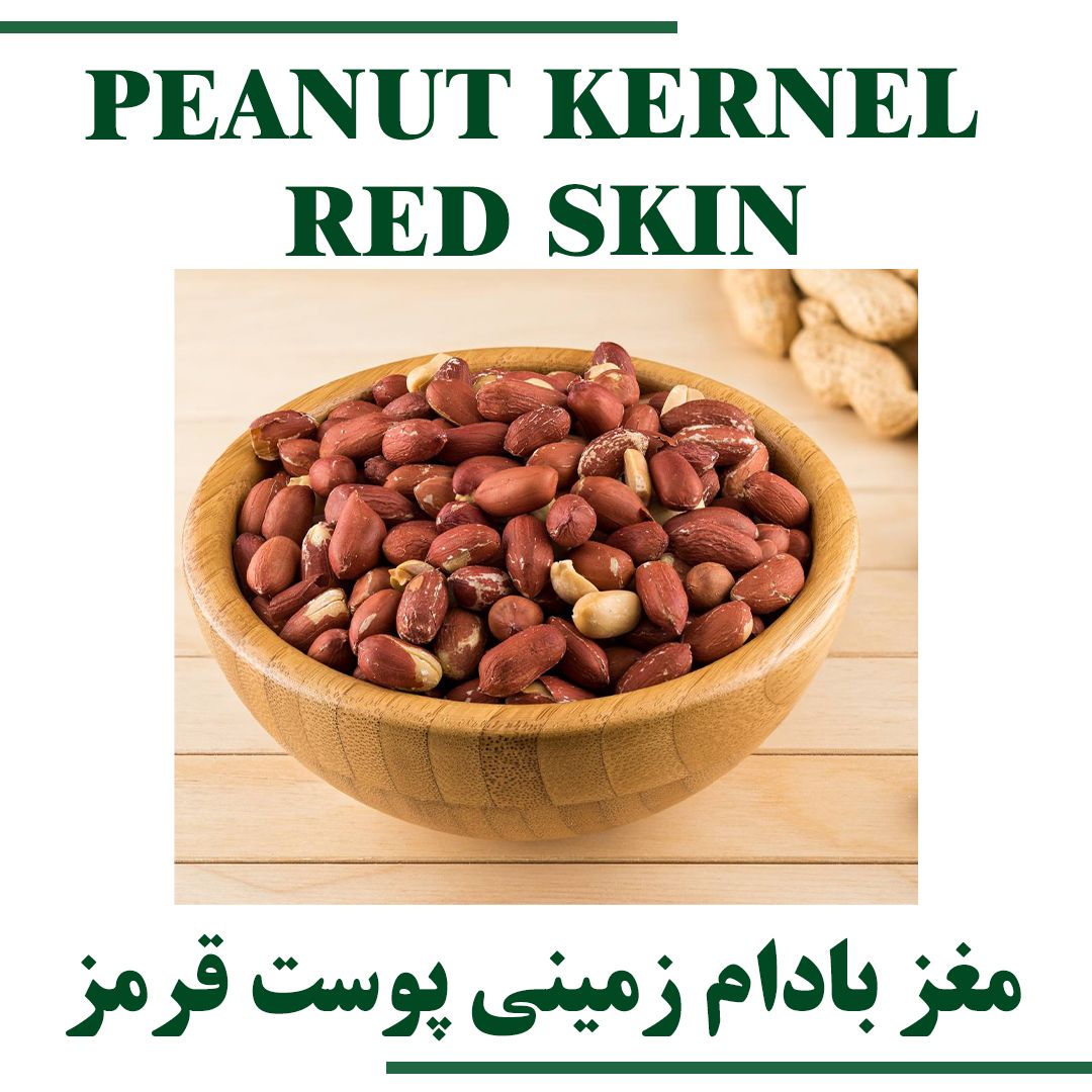 PEANUT KERNEL RED SKIN