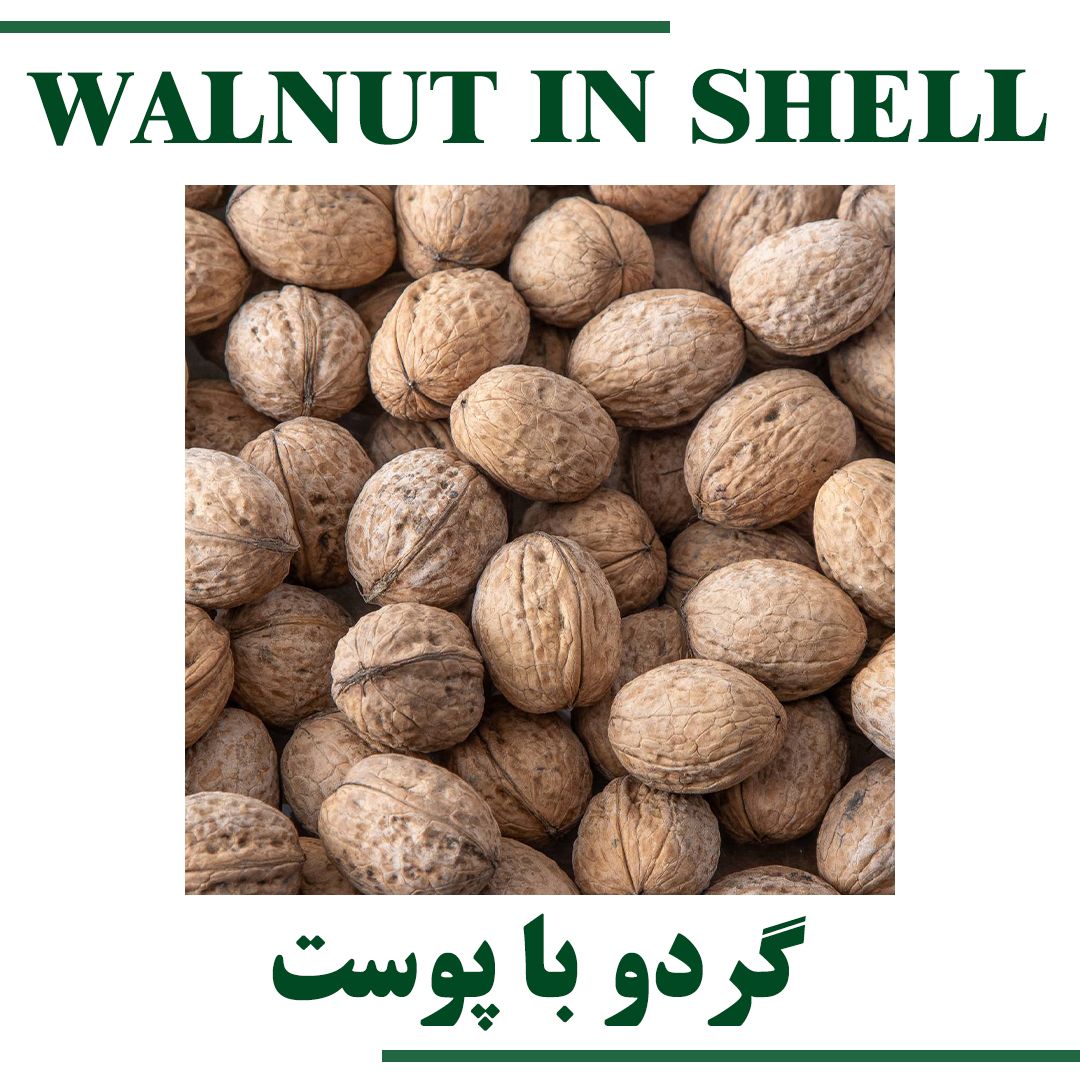 WALNUT IN SHELL