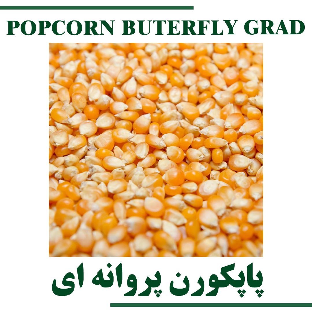 POPCORN BUTERFLY