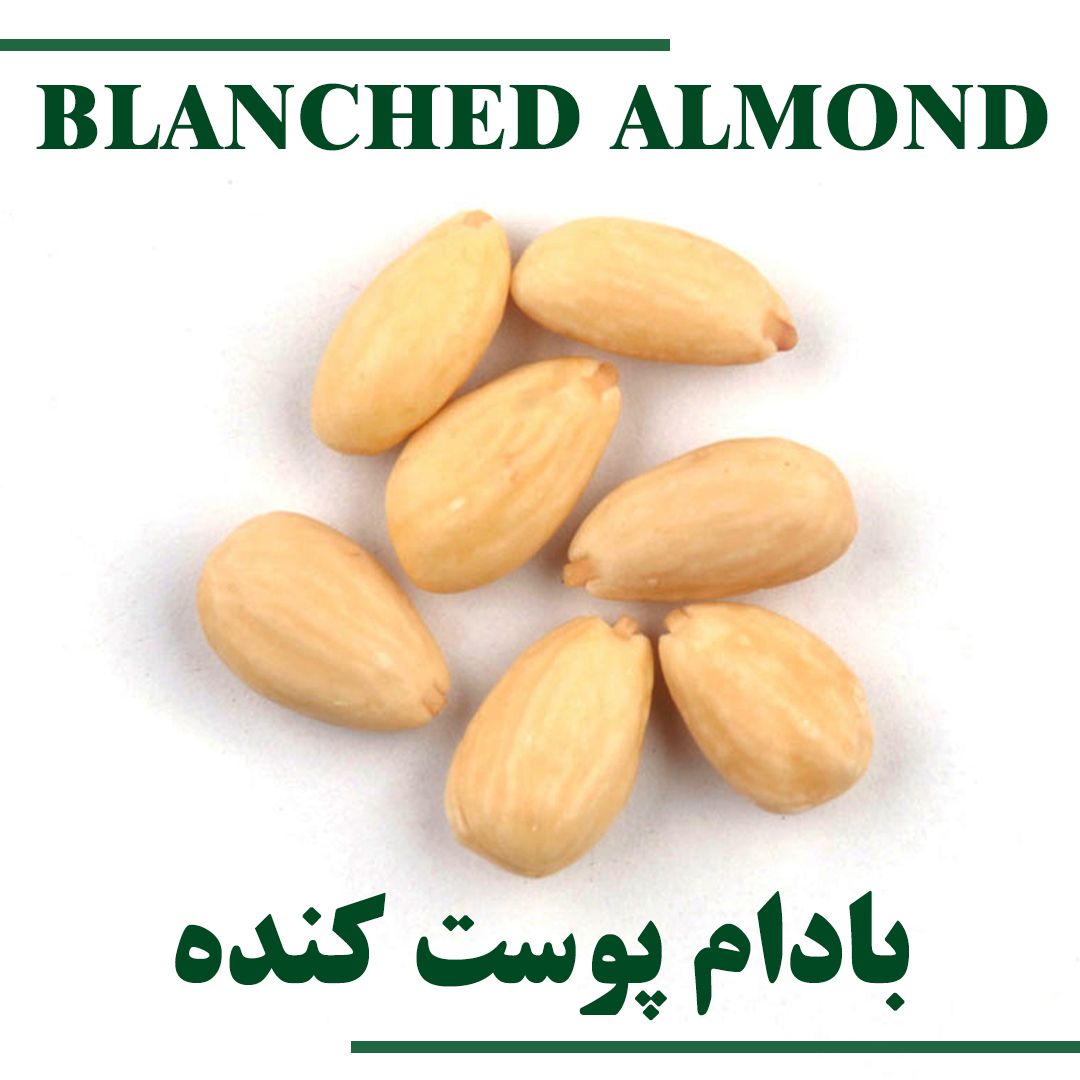 Blanched Almond