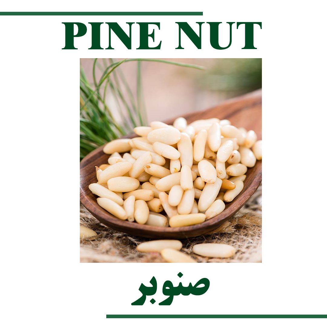 Pine nut