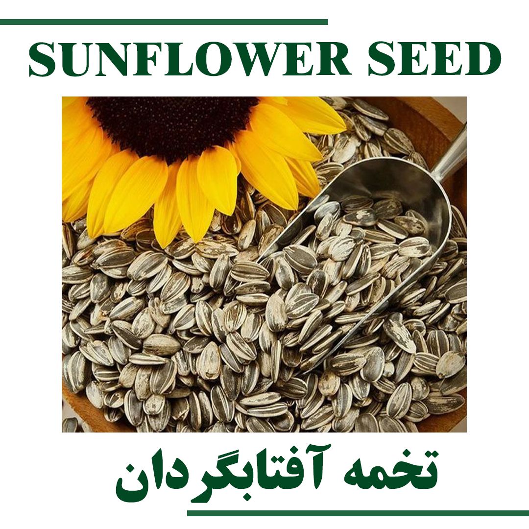 Sunflower Seed
