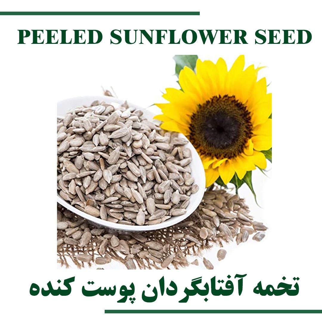 Pealed sunflower Seed