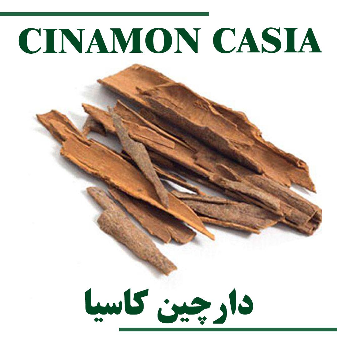 CINAMON CASIA