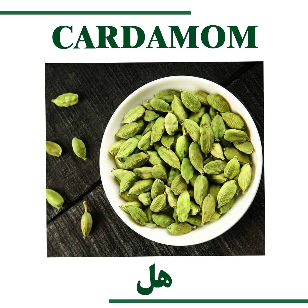 CARDAMOM