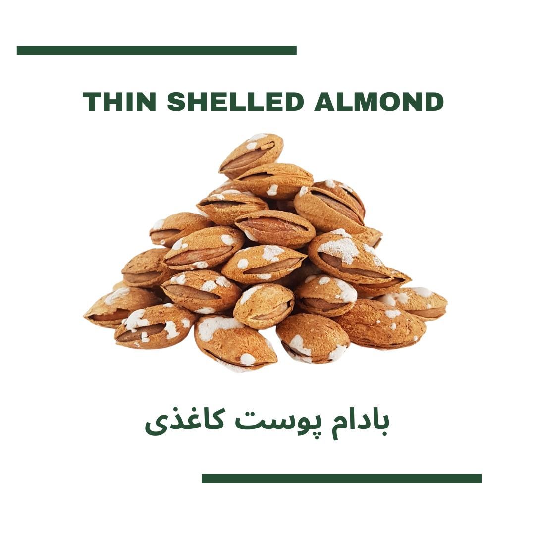 Thin shell Almonds