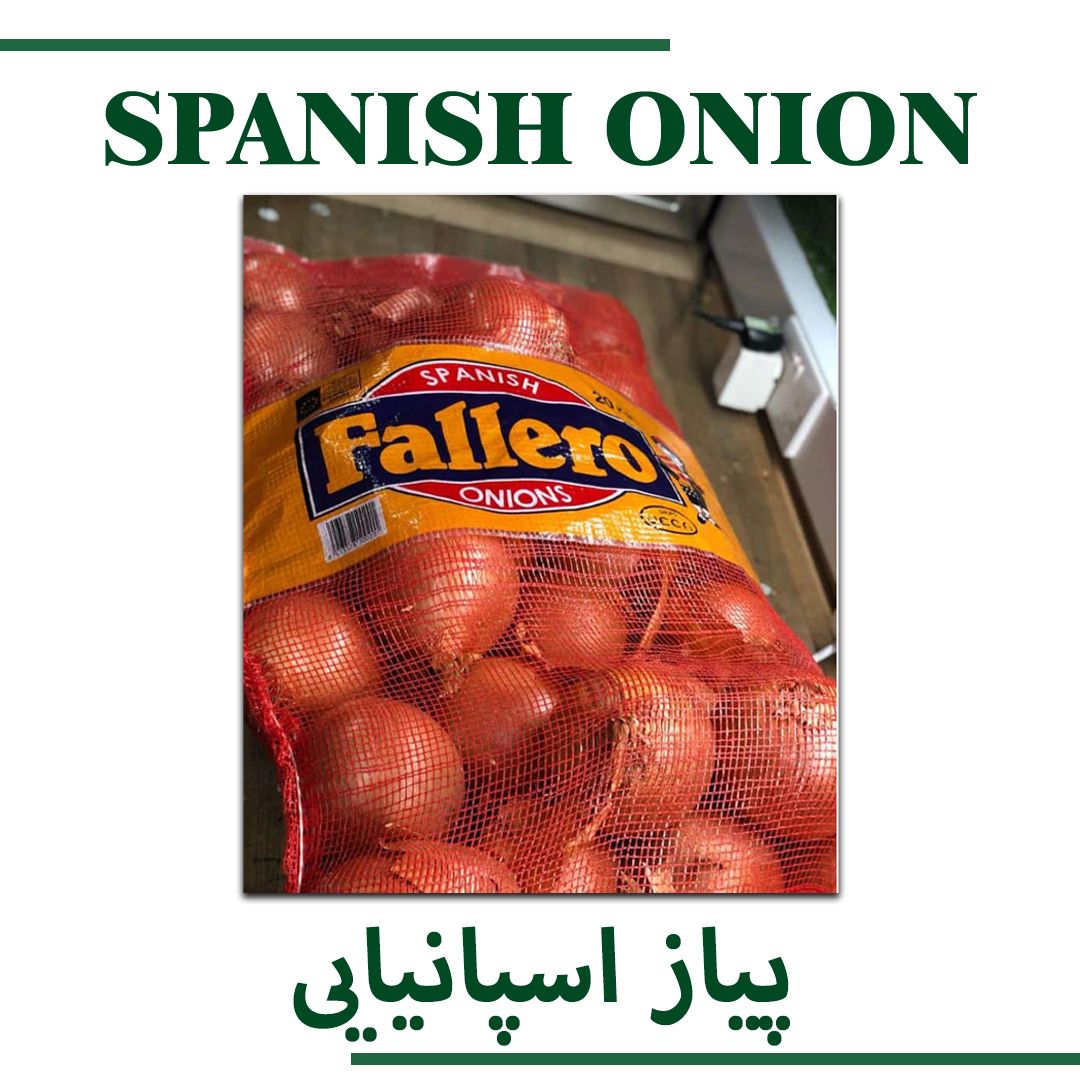 Spanish Onion