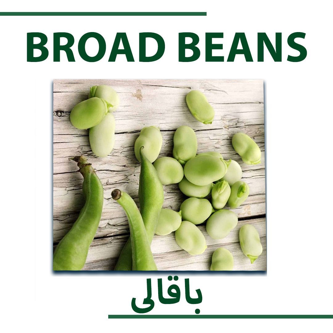 BROAD BEANS