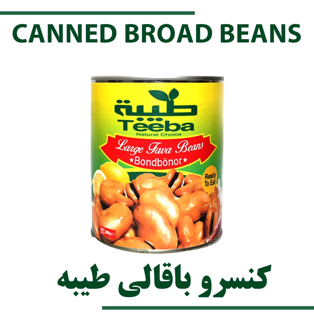 CANNED BROAD BEANS