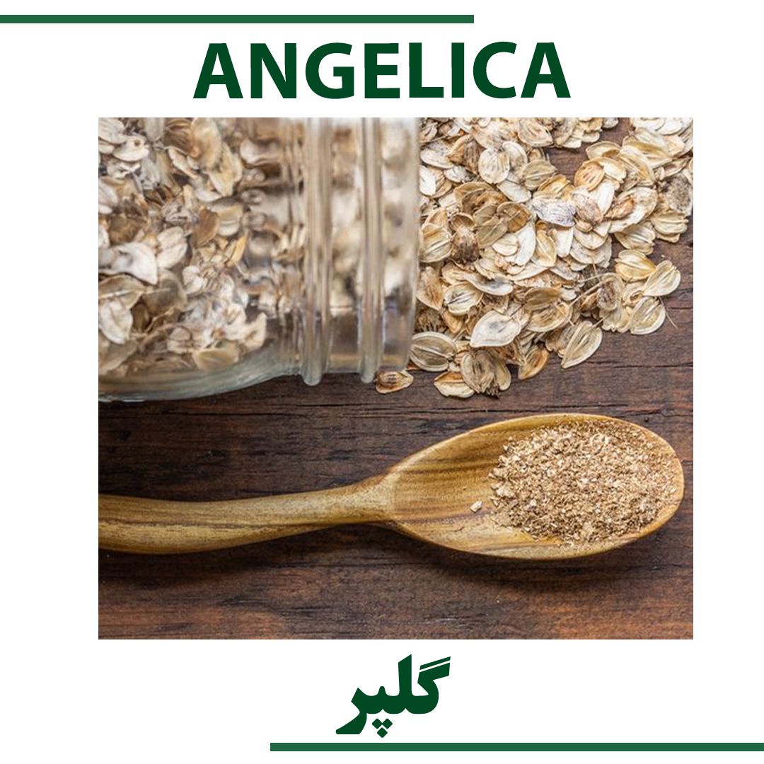 ANGELICA