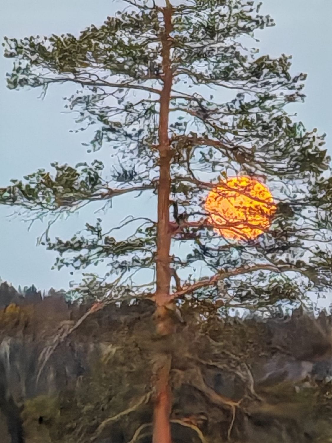 Aivoterveys ja muuttuva nainen 11.-12.4.26 Iso-Syöte, Lumiareena