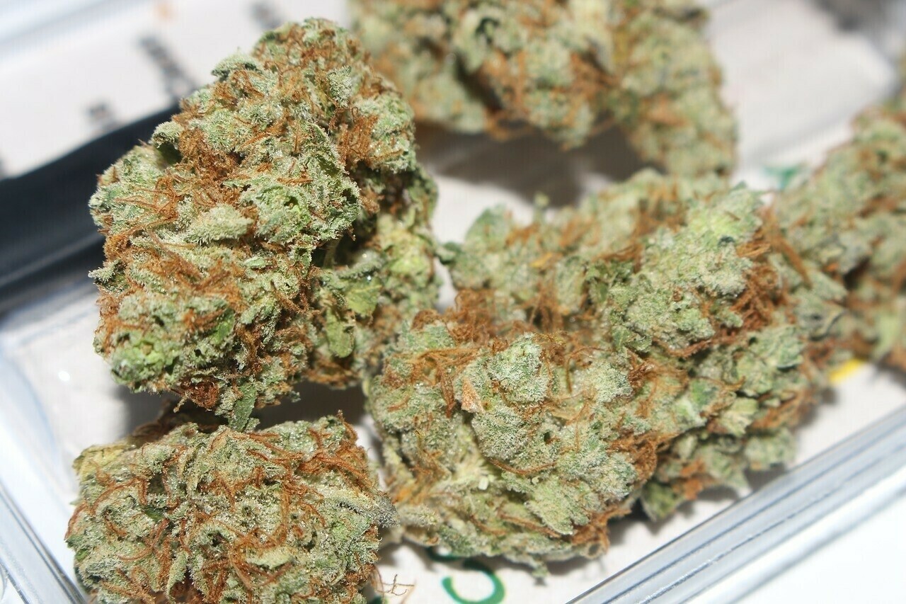 *Gorilla Glue 🌹 28*