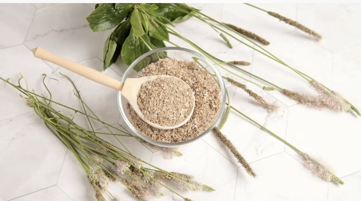 Psyllium husk powder  ( Organic)