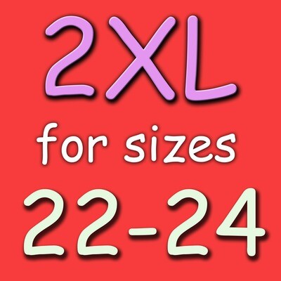 NICOLE XX-Large (2XL fits 22-24) LuLaRoe Dress