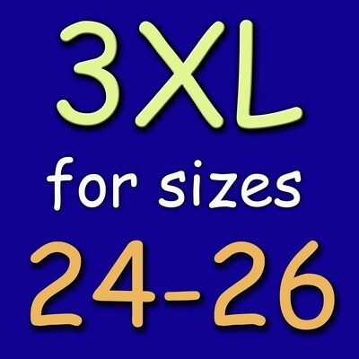NICOLE XXX-Large (3XL fits 24-26) LuLaRoe Dress
