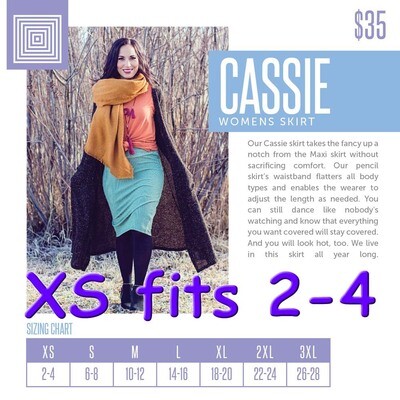 Cassie X-Small (XS) LuLaRoe Skirt Fits Sizes 2-4