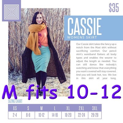 Cassie Medium (M) LuLaRoe Skirt Fits 10-12