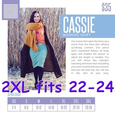 Cassie XX-Large (2XL) LuLaRoe Skirt Fit 22-24