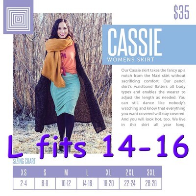 Cassie Large (L) LuLaRoe Skirts Fits 14-16