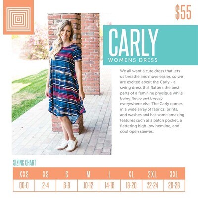 CARLY LuLaRoe Swing Dress